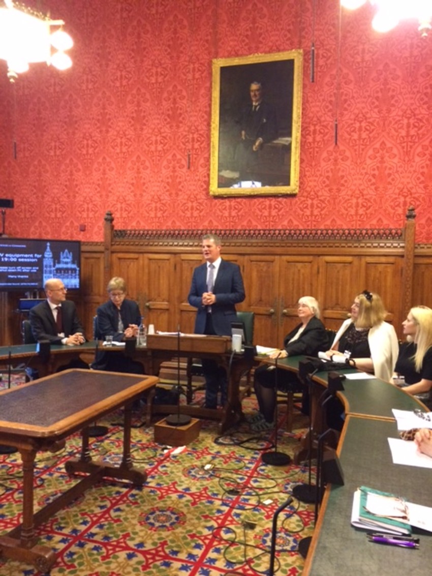 Obeležen Vidovdan u Parlamentu Velike Britanije