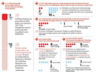 Gaz łupkowy w Polsce: ankieta wśród ekspertów nt. perspektyw