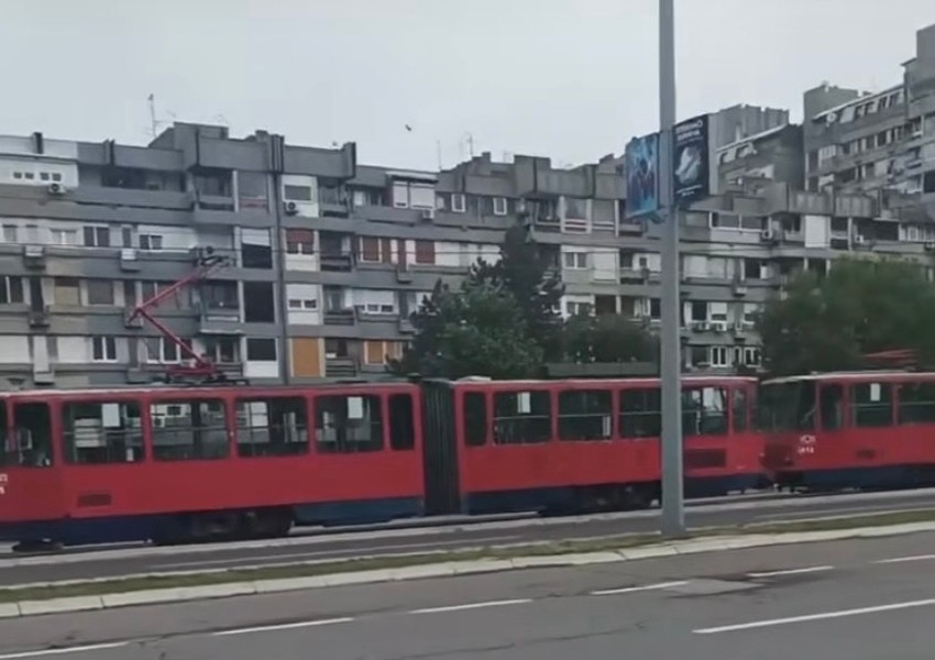 image 123650291 (14)