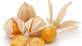 Miechunka: CRISPR zmienia niepozorny owoc w gwiazdę przyszłego rolnictwa