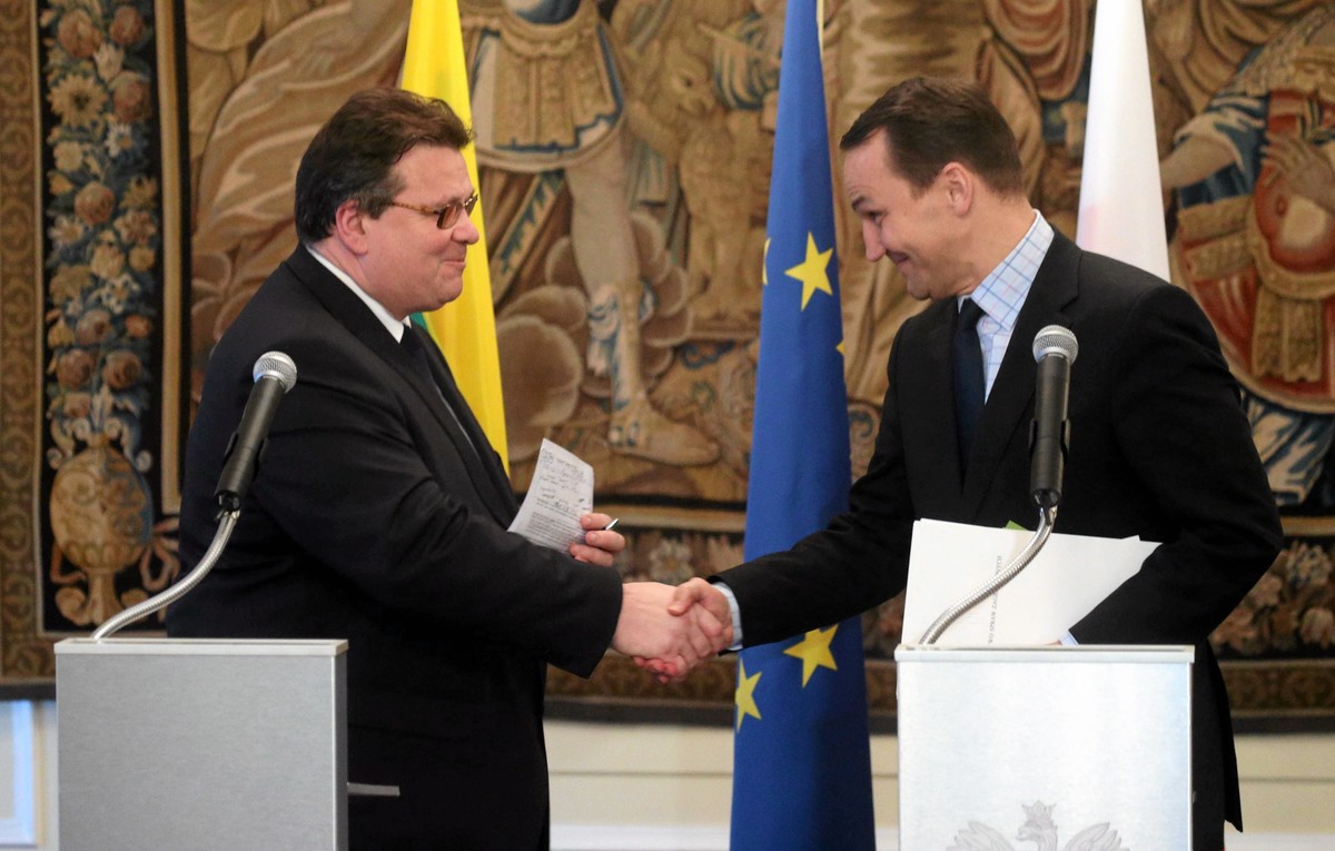 Radosław Sikorski i Linas Linkeviczius