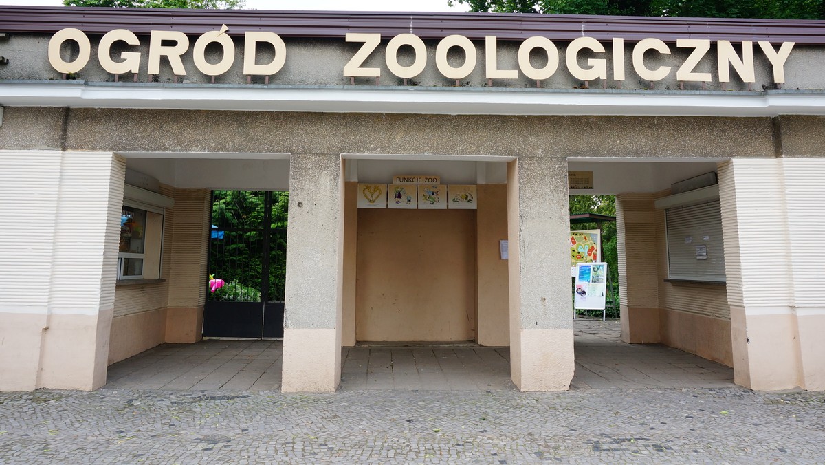 Poznań: Nowe Zoo wzbogaci się o nowy wybieg dla żyraf i nosorożców