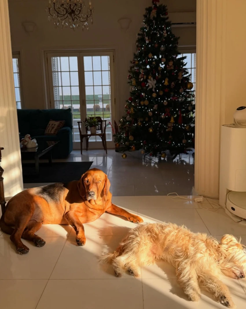 Bivšem zadrugaru će pripasti veliko bogatstvo, biće jedini naslednik: "Imamo dve kuće u Beogradu"