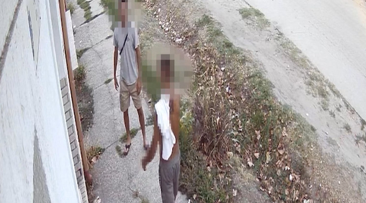 3000 forintért és egy telefonért vert össze és rabolt ki egy fiatalt a lajosmizsei férfi / Fotó: Magyarország Ügyészsége