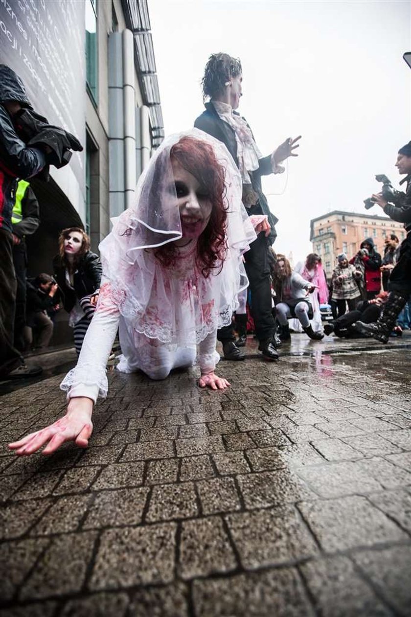 marsz zombie, poznań, walki uliczne