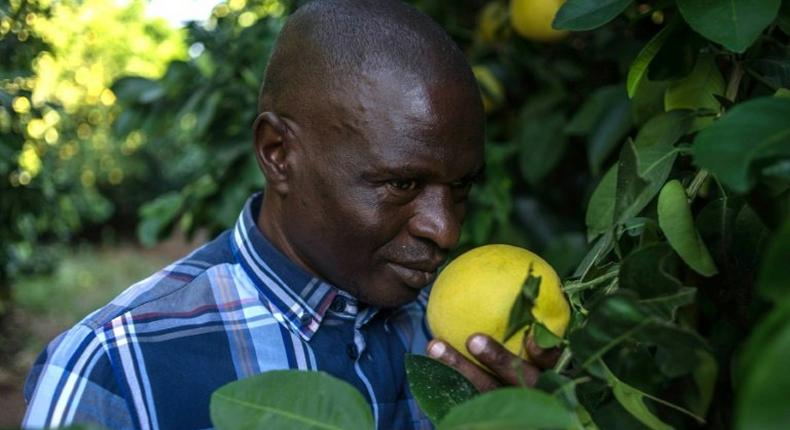 Moletele leader Hezekiel Nkosi says farming was a struggle just after the community won their legal battle