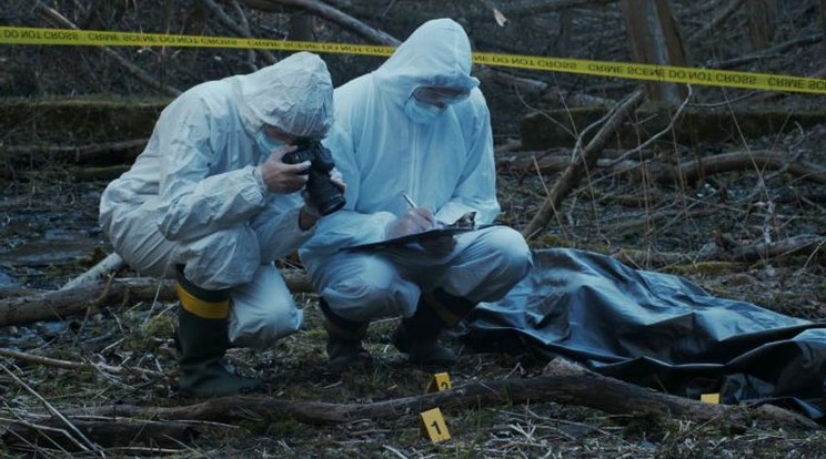 Lassan három évtizede nem lehet tudni, kinek a holttestét találták meg a rendőrök a dorogi erdőkben  Fotó: police