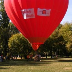 szivunk-napja1-d000002DD4c104dd6c208
