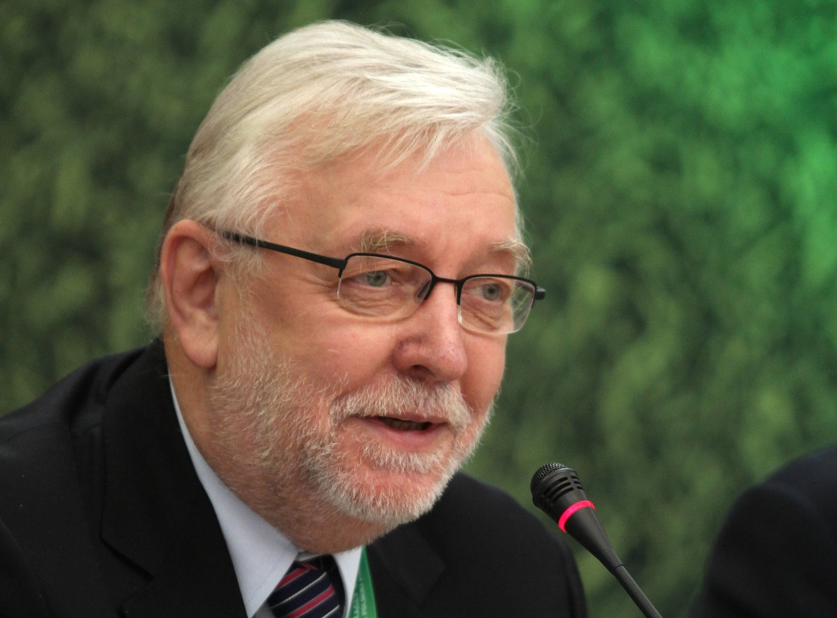 Jerzy Stępień, konstytucjonalista