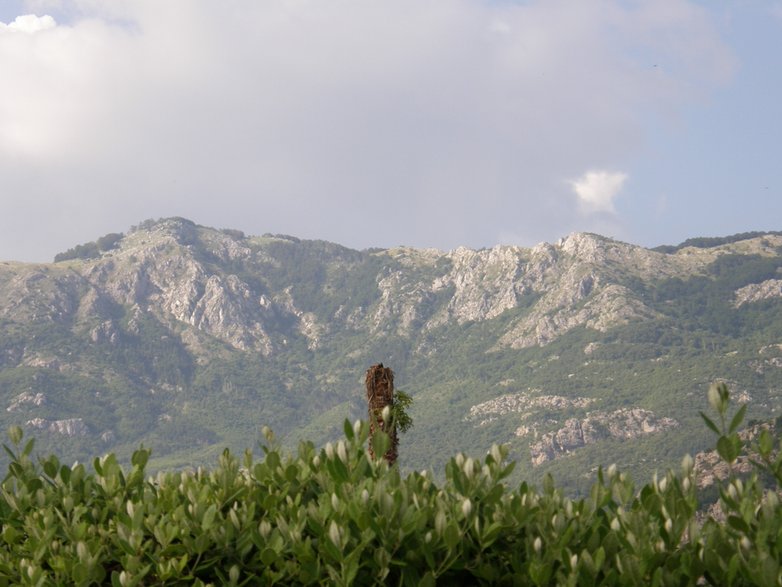 Budva położona jest u podnóża gór