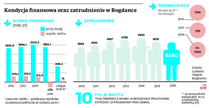 Kondycja finansowa oraz zatrudnienie w Bogdance