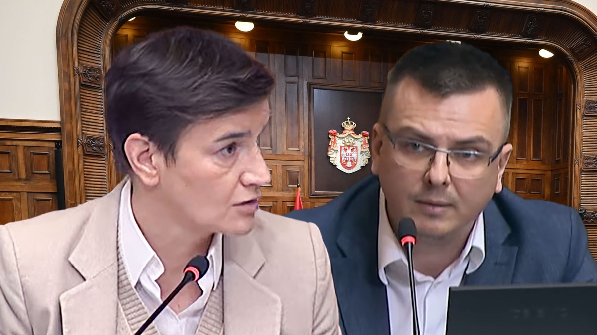 Parandilović i Ana Brnabić