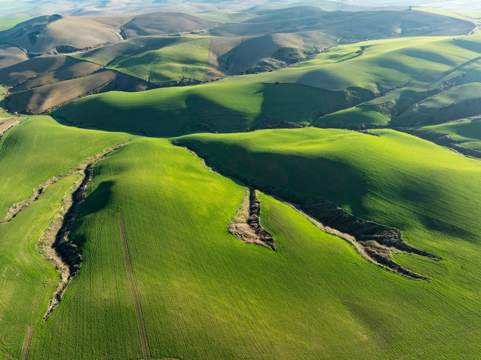 Plodno područje kod Kordobe, Španija