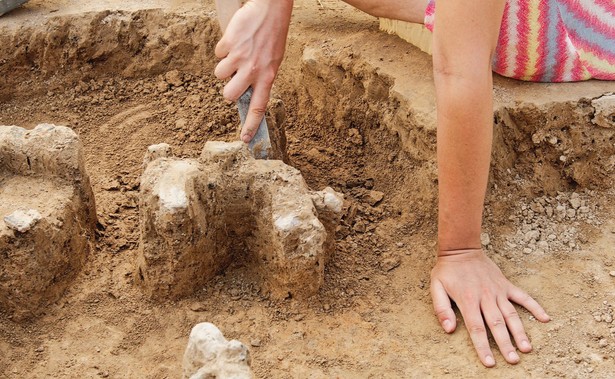 Sukces archeologów. Na Podlasiu znaleźli osadę z czasów Biskupina