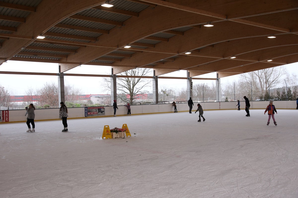 Kwiaciarnia Lodogryf w Szczecinie