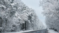 Zachodnia Europa w zaspach śniegu. Setki dróg w Hiszpanii i Francji było nieprzejezdnych