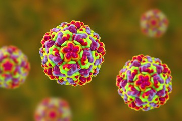 A nátha leggyakoribb kórokozója valamelyik rhinovírus, ez a vírus felel a megbetegedések mintegy feléért, de számos egyéb vírus, pl. a parainfluenza, adenovirus, RS-vírus is kiválthatja a jellegzetes tüneteket.