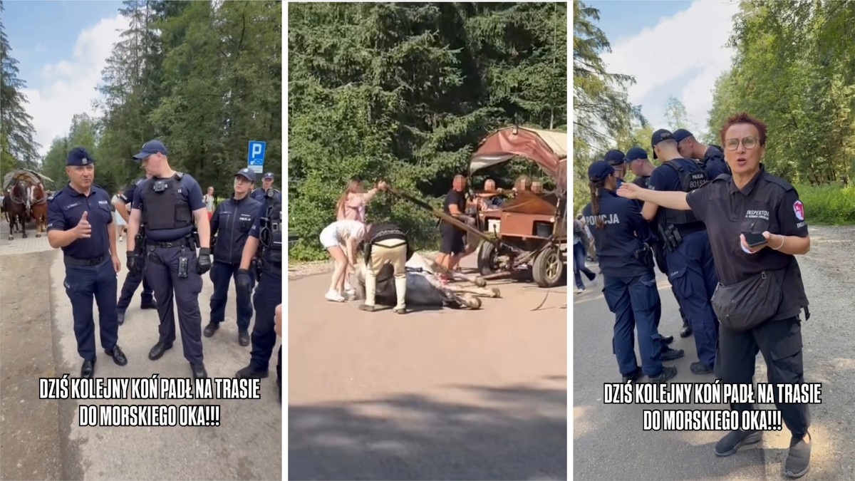 "Koń padł" na trasie do Morskiego Oka? Burza po nagraniu. Policja: sprawdzamy