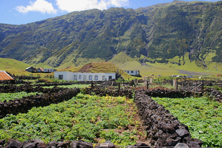Część mieszkańców Tristan da Cunha utrzymuje się z rolnictwa
