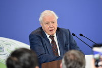 David Attenborough kongatja a vészharangot: hamarosan egymillió faj halhat ki a Földön