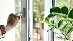 Dodaj to do wody i umyj okna. Będą błyszczeć bez smug