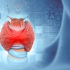 Hormoni štitne žlezde pokreću brzinu svakog metaboličkog procesa u telu, uključujući kretanje hrane kroz digestivni trakt