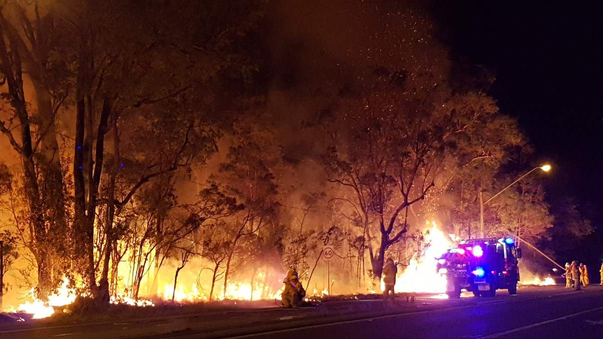 Pożar buszu w Australii