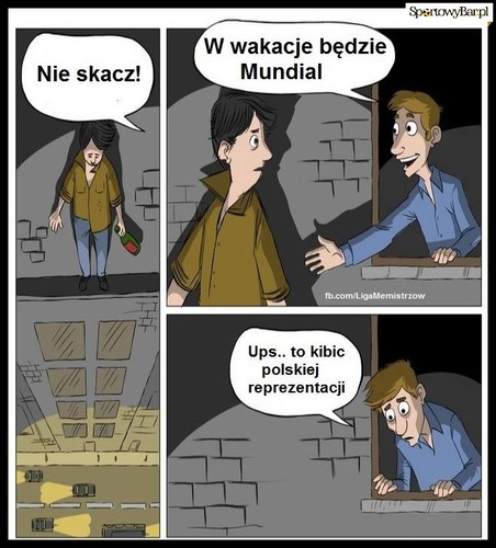 Galeria memów po meczu Polska - Irlandia