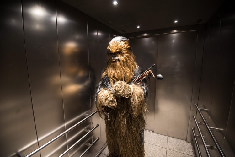 Niemiecki fan całkiem jak Chewbacca