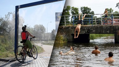 Gdzie lepiej poradzimy sobie ze skutkami zmiany klimatu, w mieście czy na wsi? Ekspertka wskazuje różnice