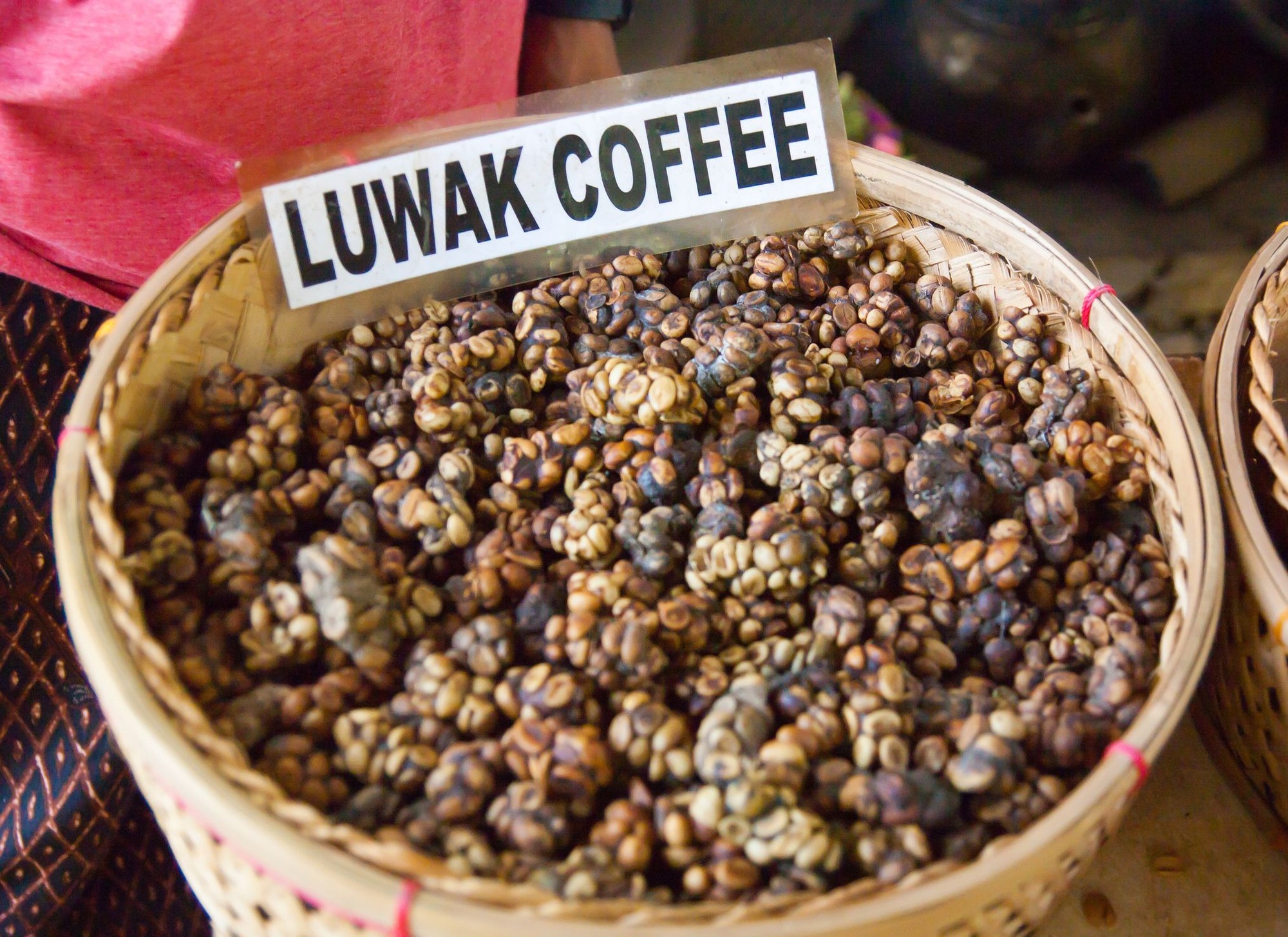 Káva Kopi Luwak