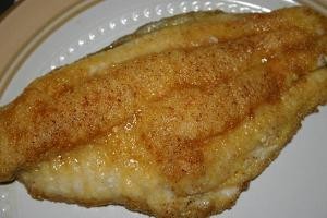 catfishfilet-081804-3-d0000003E9c88e25dbe9c