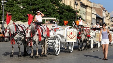 Kraków: dorożki mogą już korzystać z postoju na Rynku Głównym