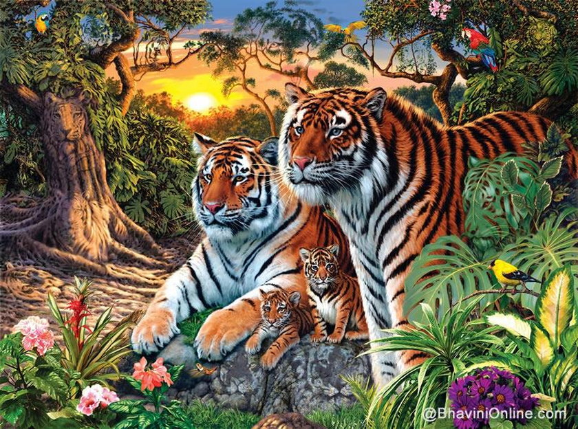 Czy potrafisz znaleźć wszystkie tygrysy na zdjęciu? Wielu próbowało, ale polegli
