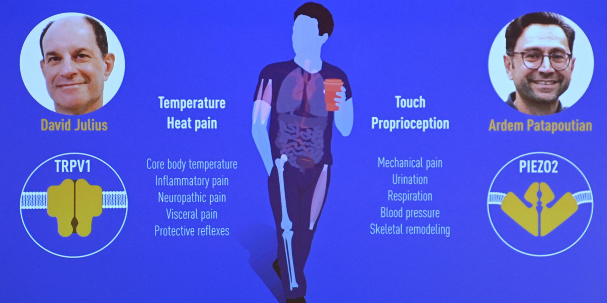 Nobel z medycyny 2021. David Julius i Ardem Patapoutian wyróżnieni 