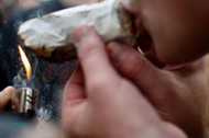 Marihuana narkotyki miękkie narkotyki uzależnienia joint blant skun