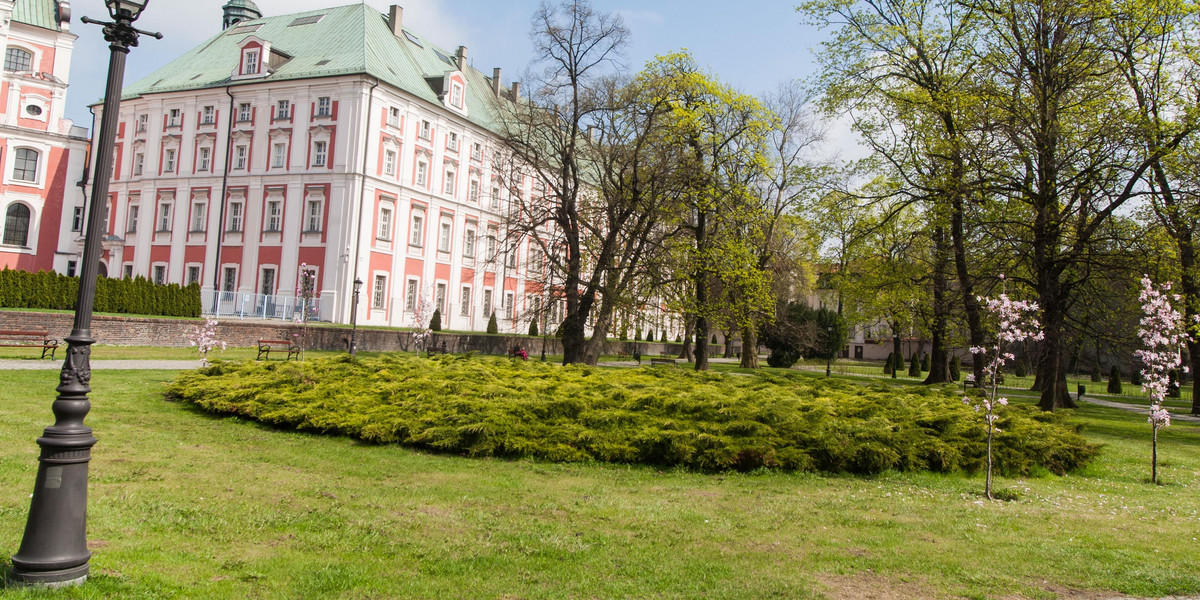 W kilkunastu parkach nie można siadać na trawie