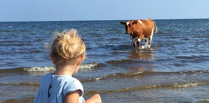 To niespodziewane towarzystwo, zaskoczyło księżniczkę