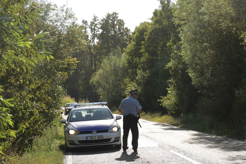 Milan Novitović, napad (2)