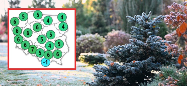 Pierwszy śnieg tuż po Wszystkich Świętych?! Nadchodzi drastyczna zmiana pogody [PROGNOZA IMGW]