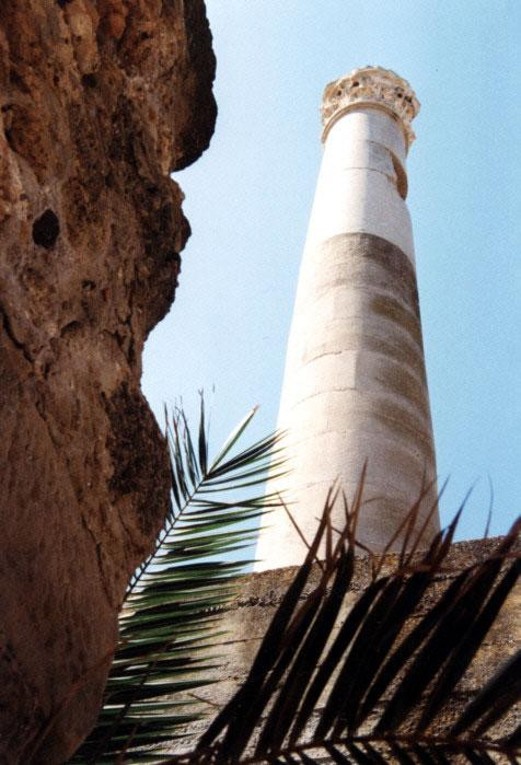 Galeria Tunezja - Tunis, Kartagina i nie tylko..., obrazek 7