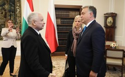 Trzaskowski: Orban ograł PiS i widać u nich panikę