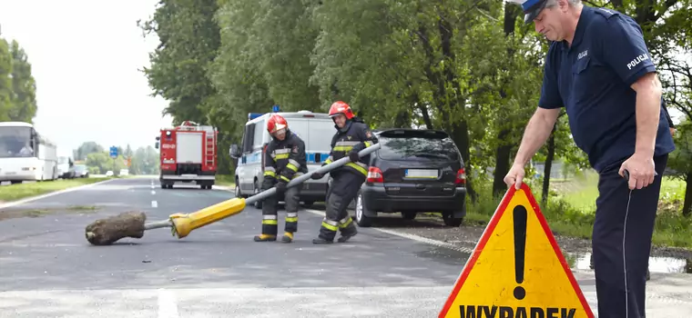 Czy Polacy są najgorszymi kierowcami w Europie? Część II