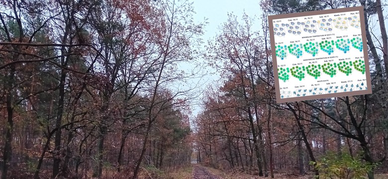 Kiedy nadejdzie słońce? Prognoza pogody na nadchodzący tydzień w Polsce