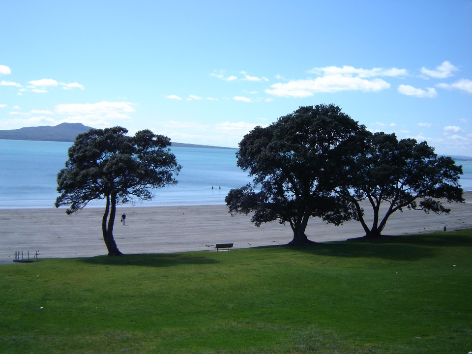 East Coast bays - Auckland