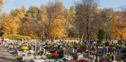 Handel grobami kwitnie. Ceny sięgają kilkudziesięciu tysięcy złotych