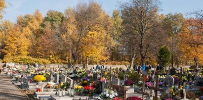 Handel grobami kwitnie. Ceny sięgają kilkudziesięciu tysięcy złotych