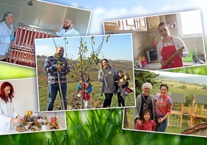 priroda kombo foto RAS RINA, pricesadusom com , Shutterstock