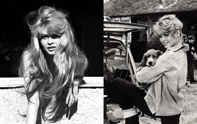 Brigitte Bardot - ikona, ktorá zmenila predstavu o kráse.
