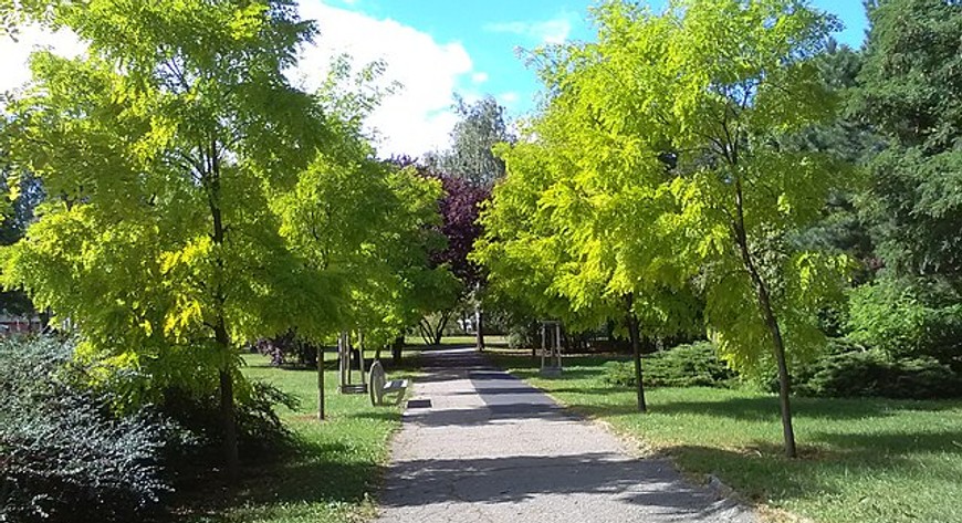 Park Rataje w Poznaniu Na osiedlu Rzeczpospolitej (CC-BY-SA 4.0)